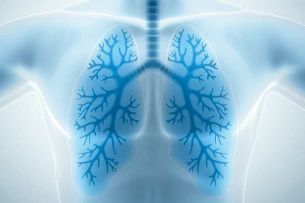Unveiling the Vital Importance of Lung Health