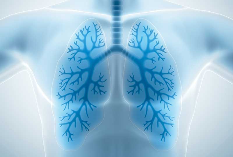 Unveiling the Vital Importance of Lung Health