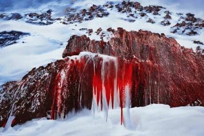 what is blood falls